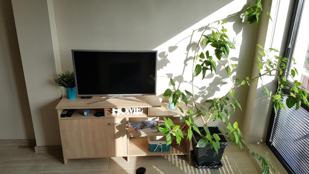 Azzurro-Top Floor Apartment In Quiet Neighborhood, Free Private Parking Warna Exterior foto